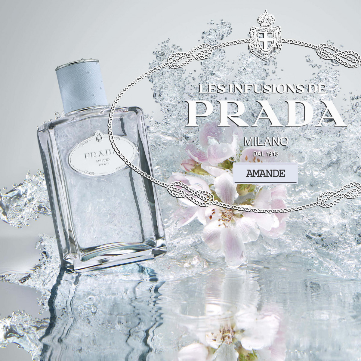 les infusions de prada amande